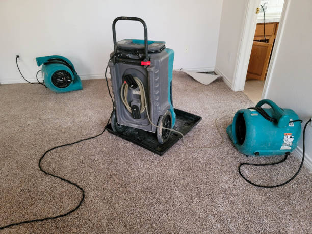 Best Water damage restoration mold remediation  in Mount Carmel, OH