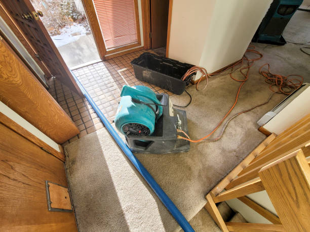 Best Water damage repair service  in Mount Carmel, OH
