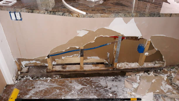 Best Basement water damage restoration  in Mount Carmel, OH