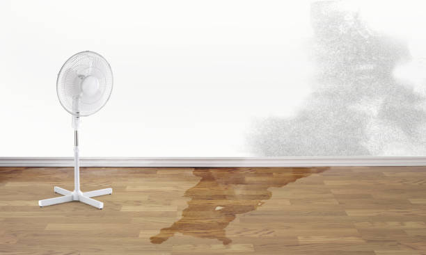 Best 24/7 water damage repair  in Mount Carmel, OH