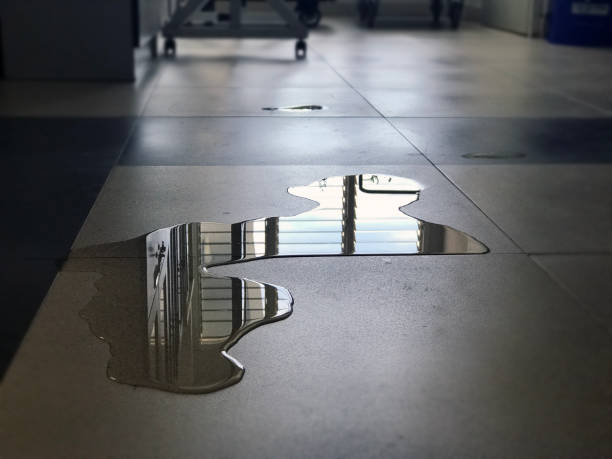Best Commercial water damage restoration  in Mount Carmel, OH