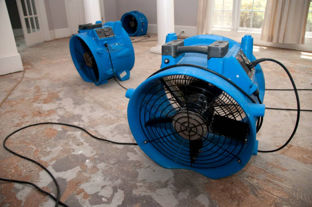 Best Residential water damage restoration  in Mount Carmel, OH