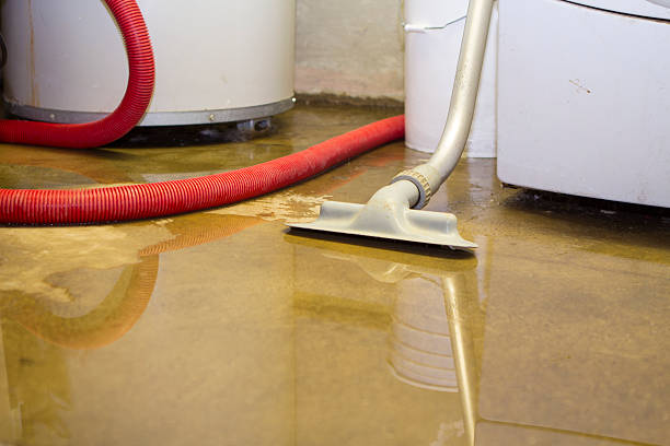 Best Water damage mitigation services  in Mount Carmel, OH
