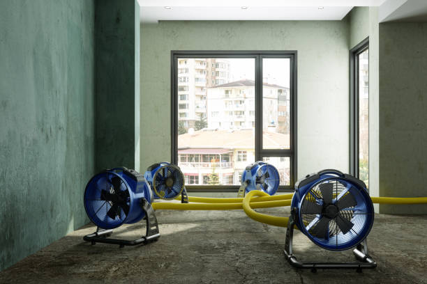 Best Sewage cleanup and water damage restoration  in Mount Carmel, OH