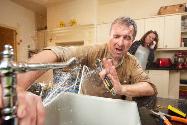 Best Mold removal after water damage  in Mount Carmel, OH